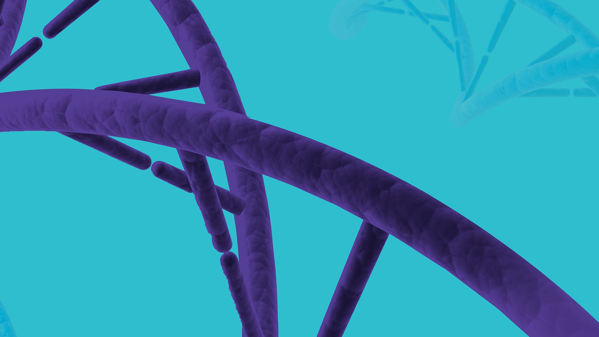    A purple stylised DNA strand against a turquoise background