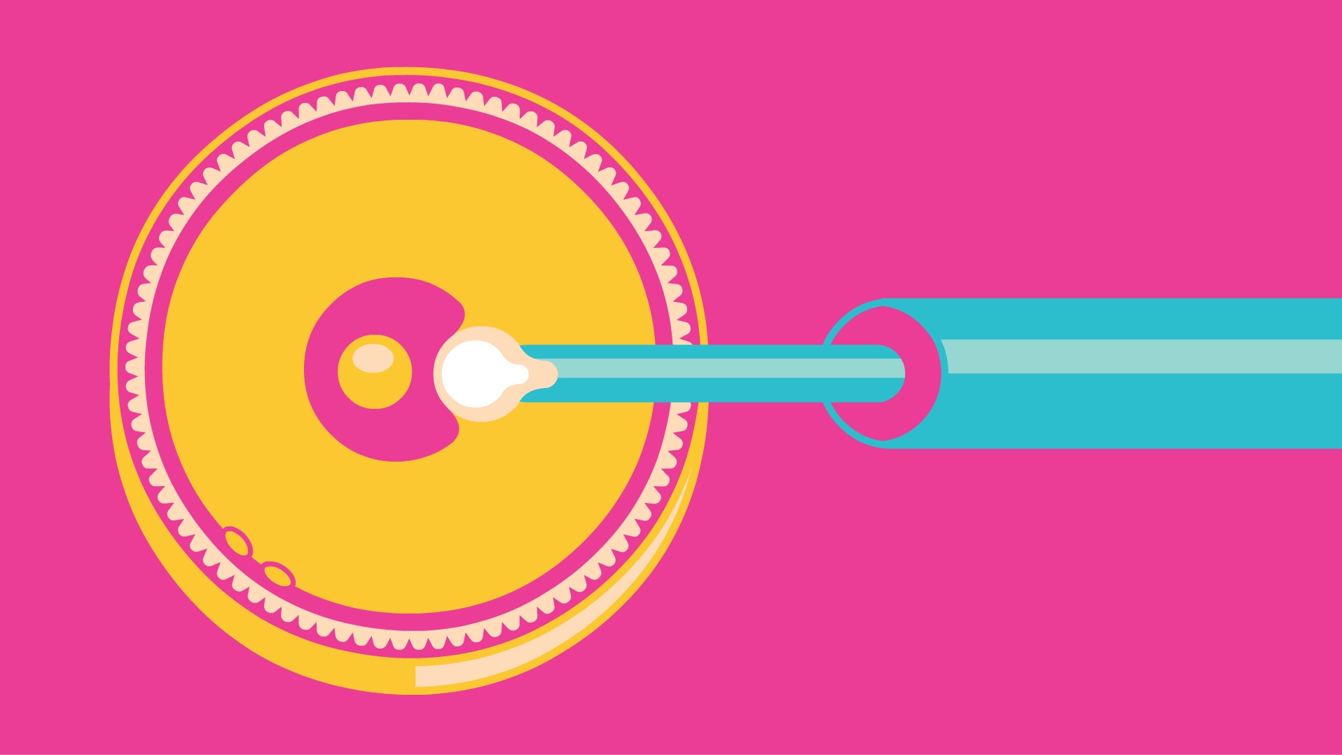 A sperm cell being inserted into the center of a woman's egg.