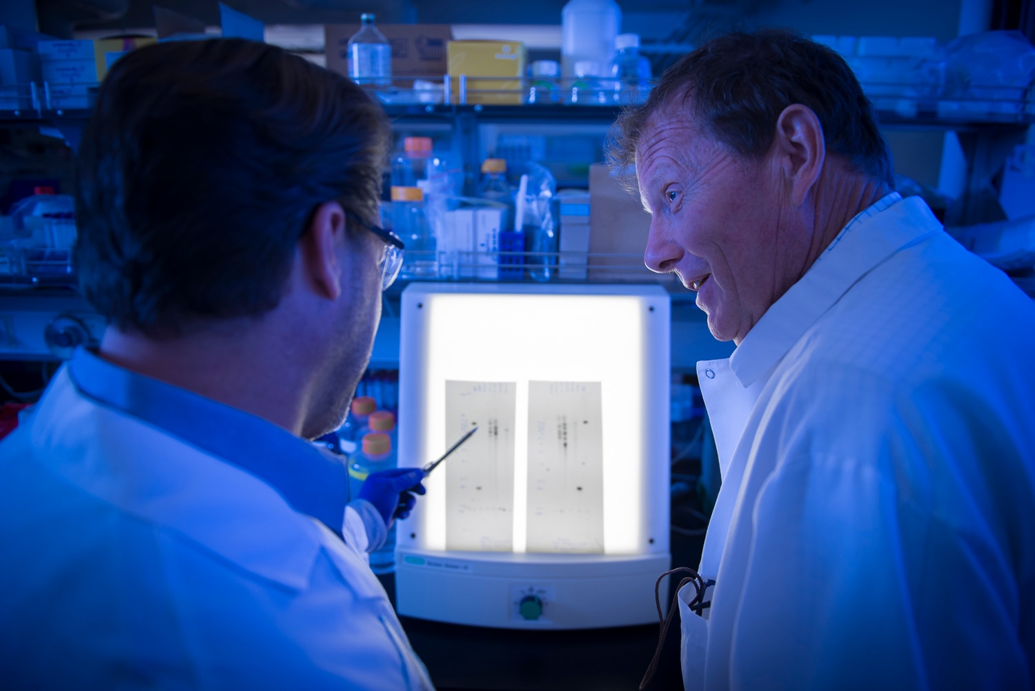Doug Jolly, Ph.D. EVP Research and Pharmaceutical Development with Andy Hofacre, Ph.D. Virologist reviewing an SDS-PAGE