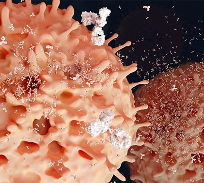 Lloyd J. Old, Herbert F. Oettgen, and Alexander Knuth show for the first time that T cells could be trained to recognize and attack tumor cells.