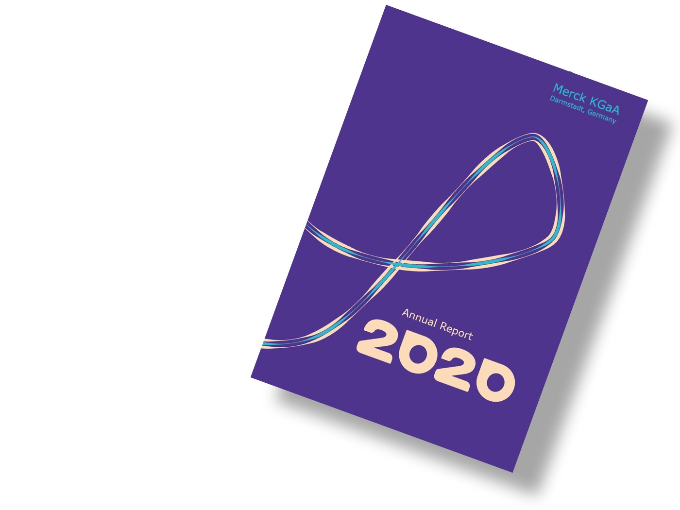 Financial Results 2020