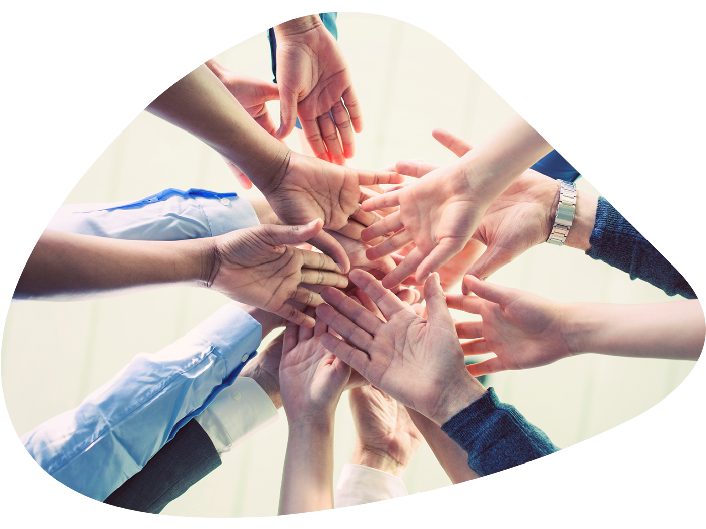 Role of Diversity & Inclusion in Innovation