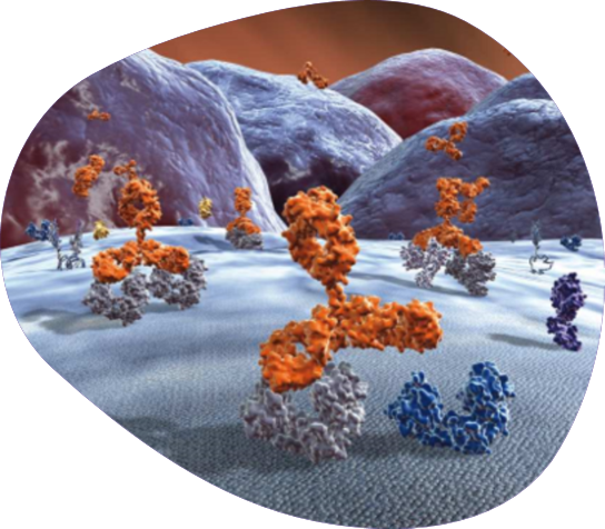 Team Immuno-Oncology